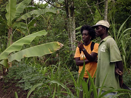 Rosedanie Cadet surveys a piece of land with a farmer outside Limbe.  During the February/March trip