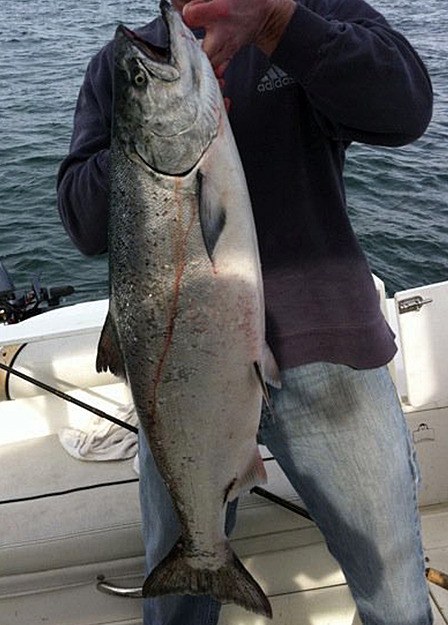 Salmon fishing kicks into high gear at this time of year