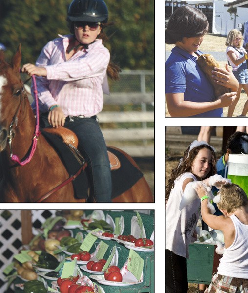 Top left: Sierra Morrison of Orcas Island competing in the San Juan County Fair. Top right: Christian Bailey participating in the guinea pig races. Lower left: Prize-winning vegetables. Lower right: Kids having fun with the soap and bubble machine.