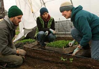 San Juan Island’s Synergy Farm’s Susan Corning (right) with interns Josh Kraetsch