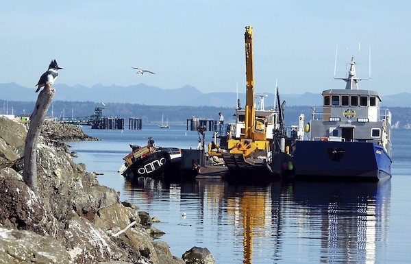 Recovery efforts for the schooner Phoenix continued Thursday.