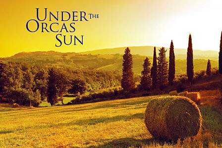 Orcas Center’s summer gala 'Under the Orcas Sun' on Saturday