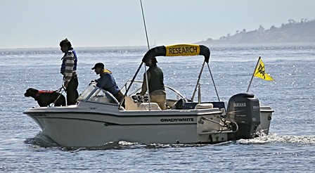 A tracker dog hard at work.