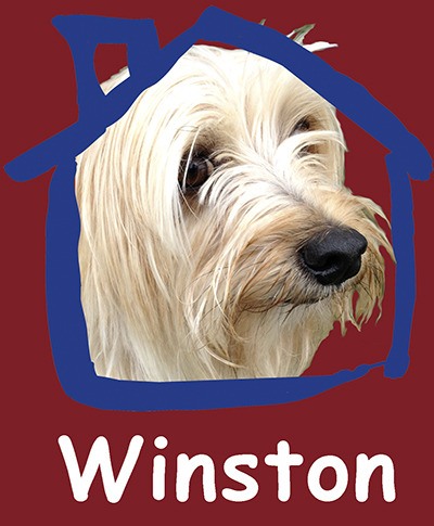 Winston