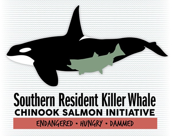 Logo for Southern Resident Killer Whale Chinook Salmon Initiative.