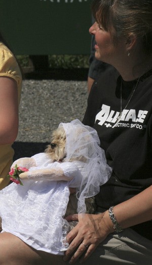 The 22nd Annual Pet Parade took over the streets of Eastsound on Saturday