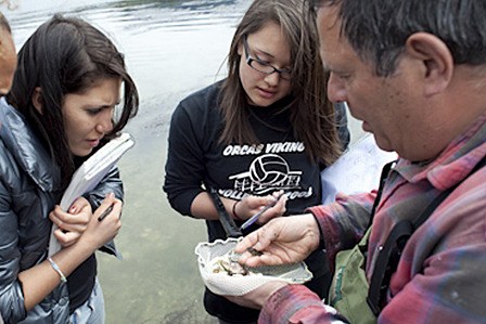 Orcas High School students participate in biodiversity surveys around Indian Island.