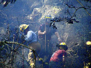 Firefighters James Scheib