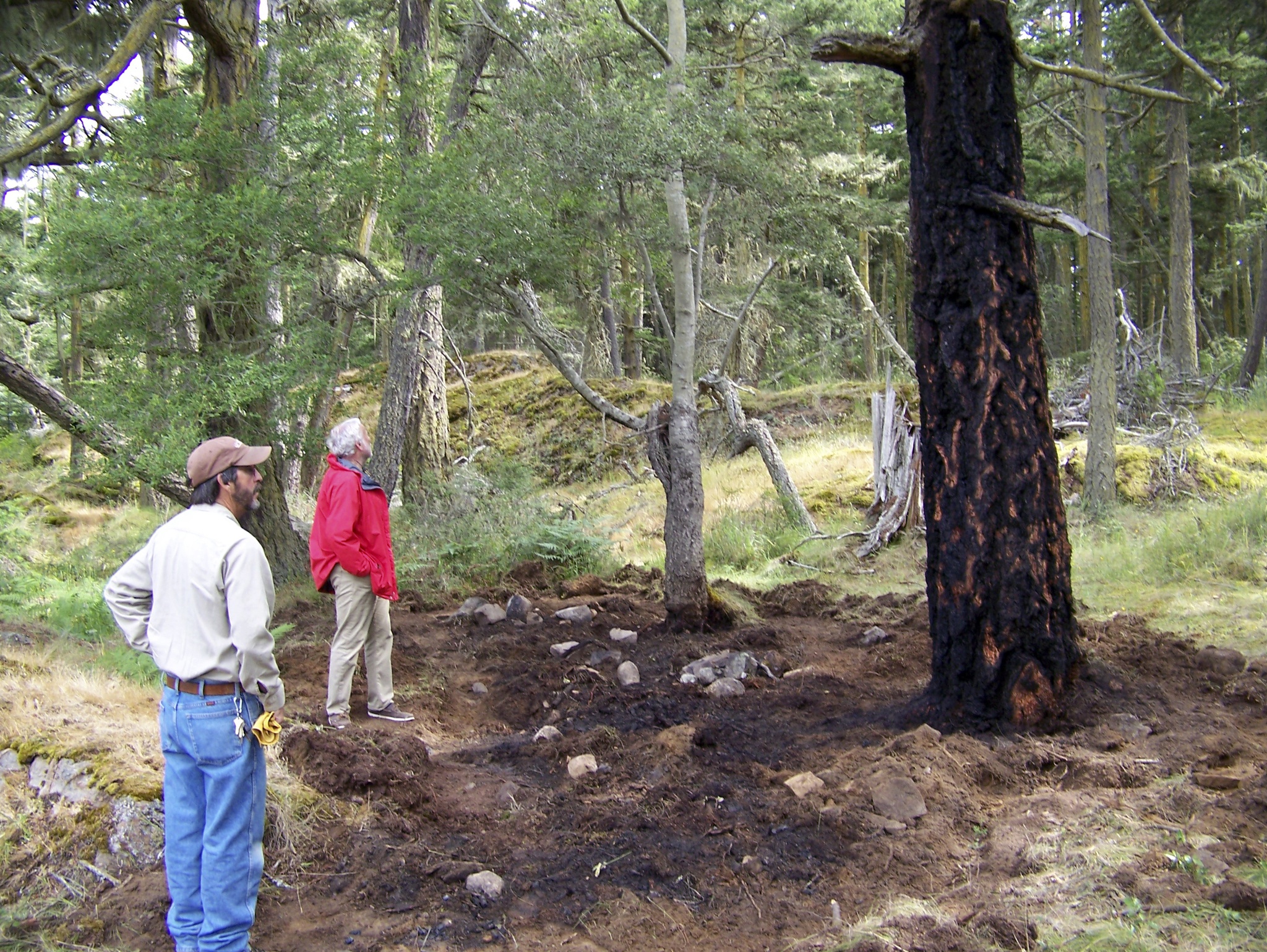 Wildfire at Shark Reef Sanctuary on Lopez Island