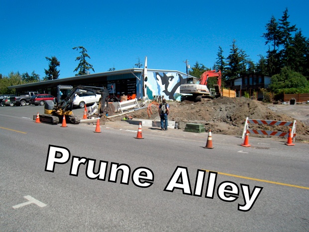 Road work on Prune Alley