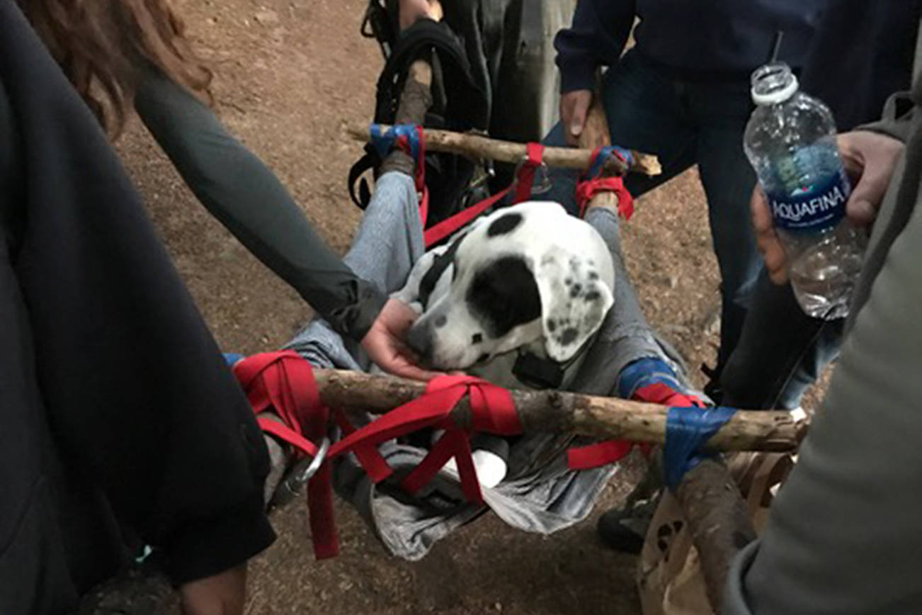 OIFR rescues hiker and her missing dog from cliff in Moran State Park