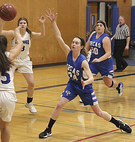 Vikings girls and boys basketball teams move on to regionals