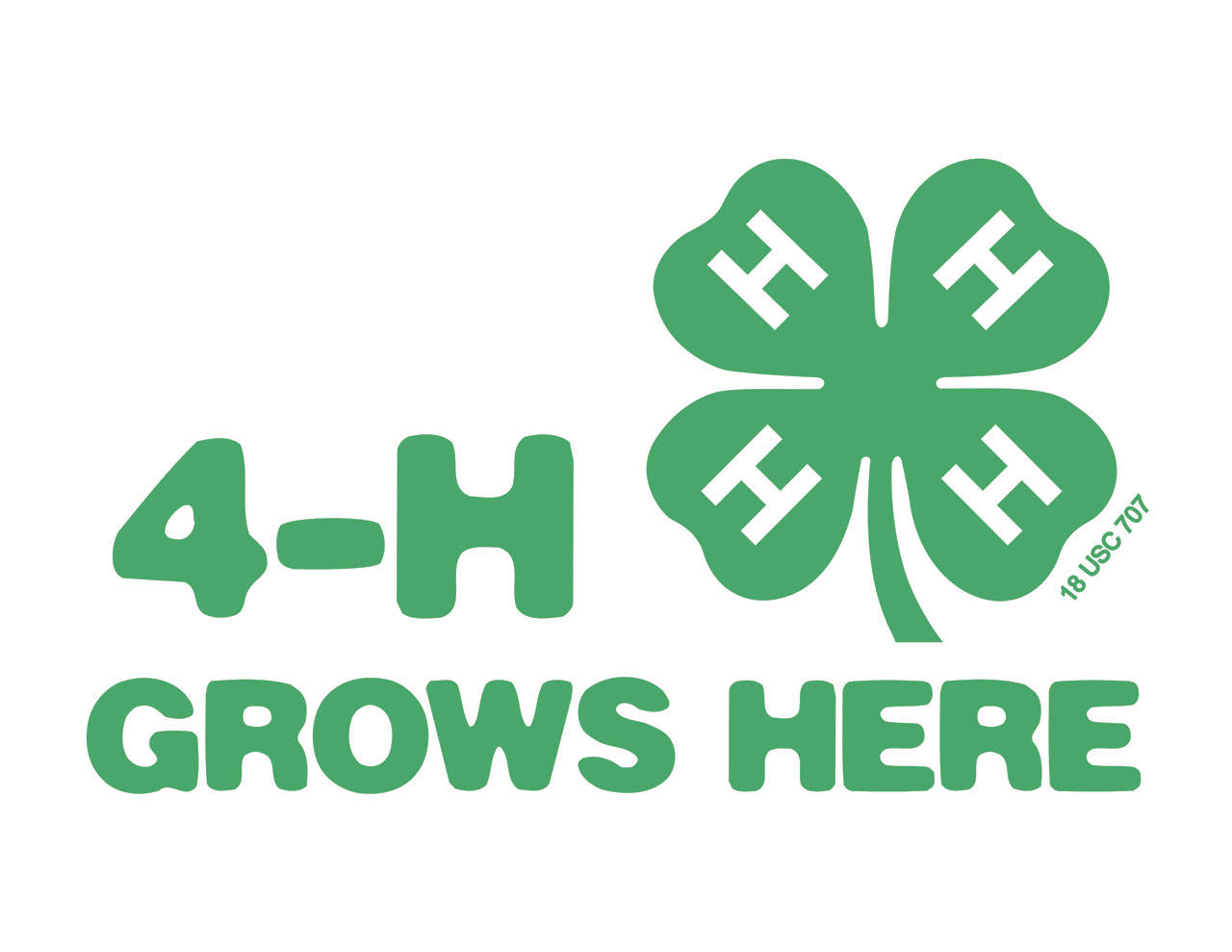 4-H: Not just cows and sows