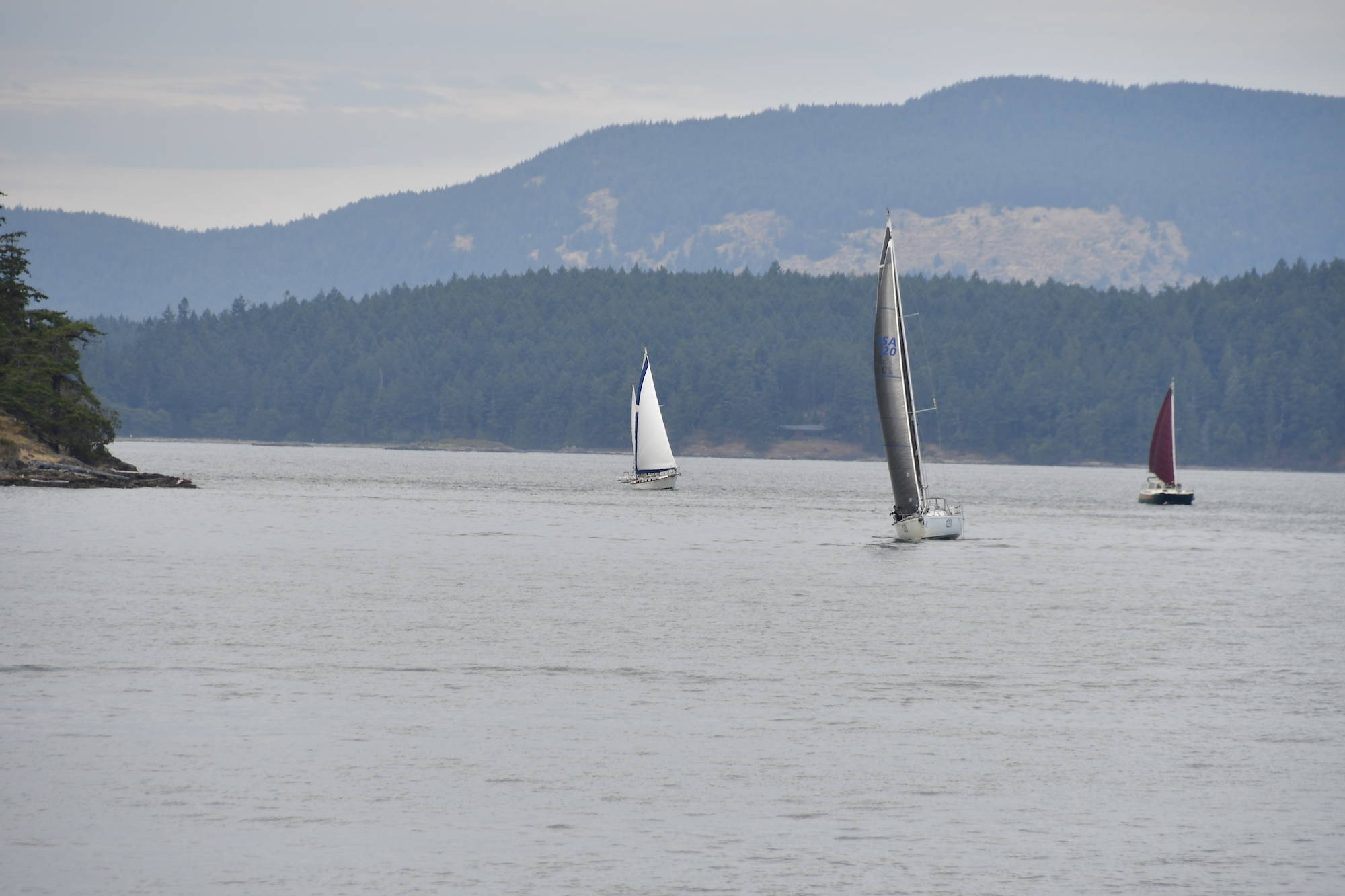 49th Shaw Island Classic race results | Islands' Sounder