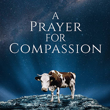 Film screening of ‘A Prayer for Compassion’