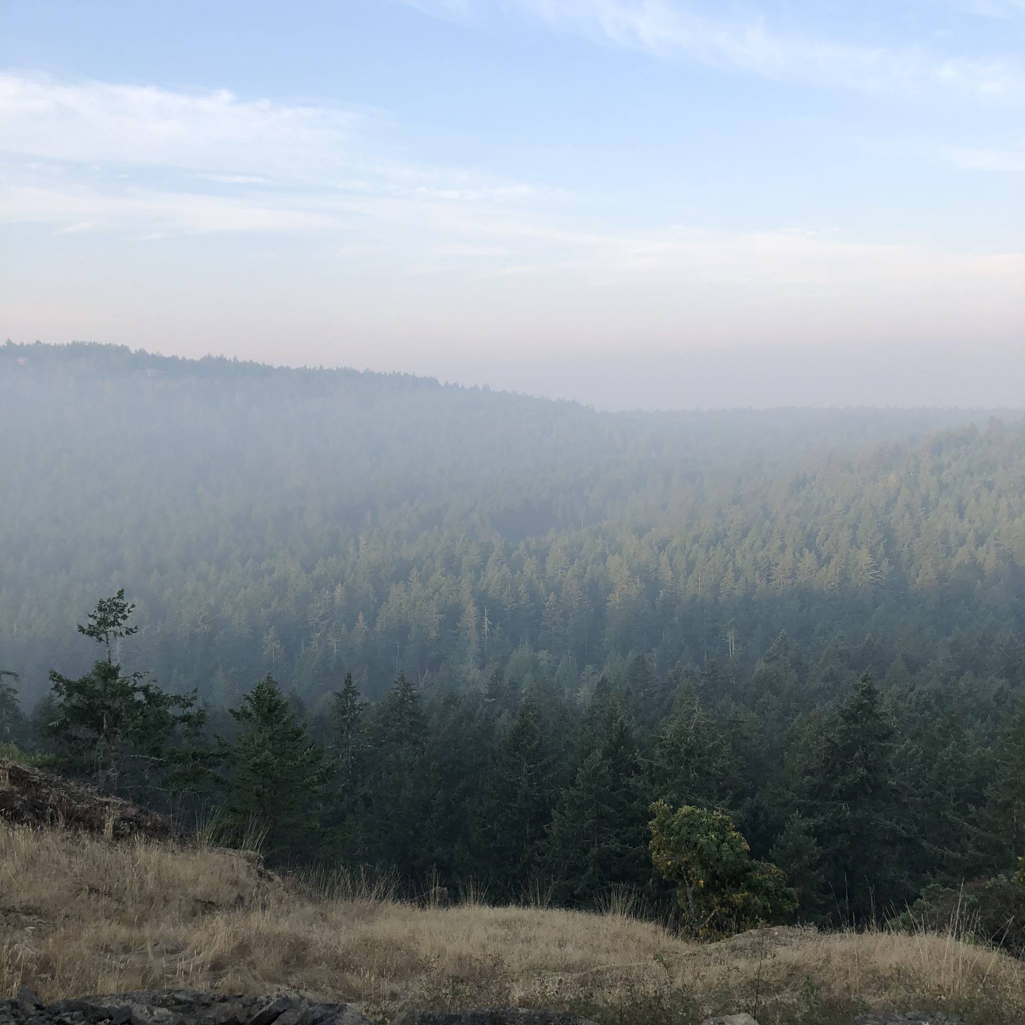 A smoky view from atop Mount Grant. (Emillie Novak/staff photo)