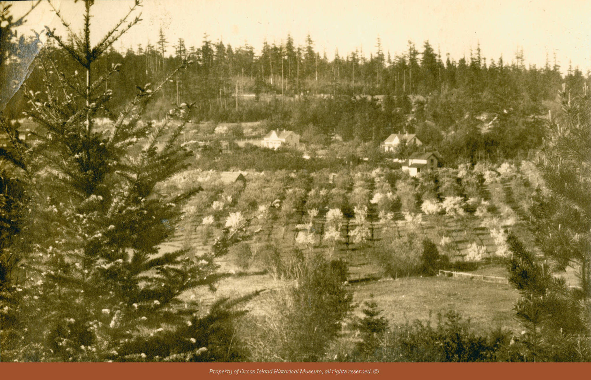 Orcas Island Historical Museum/contributed photo
Sutherland Farmhouse.