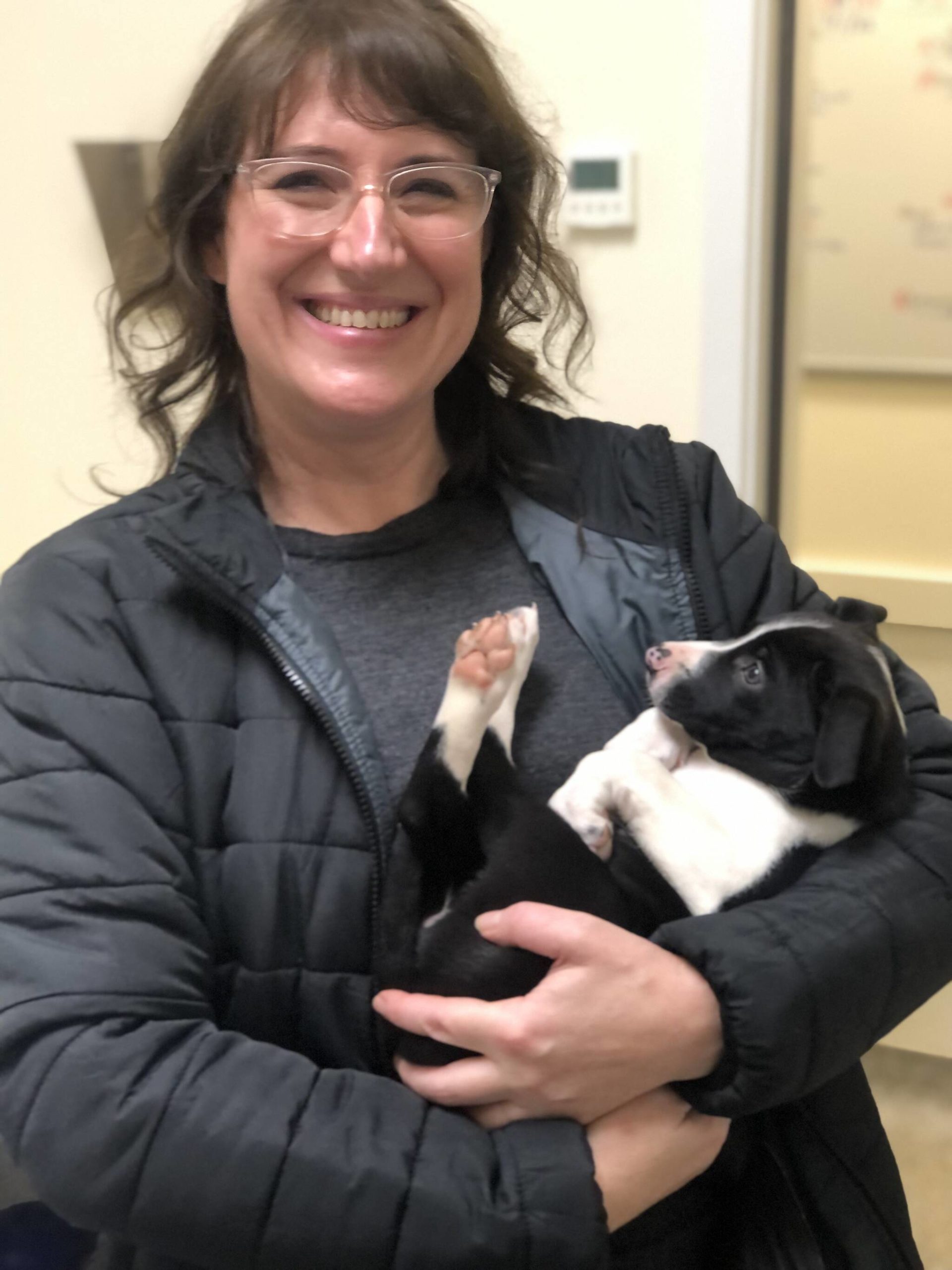 <em><strong>Colleen Smith/staff photo </strong></em>
Shelter director Kristina Snyder with one of the puppies.