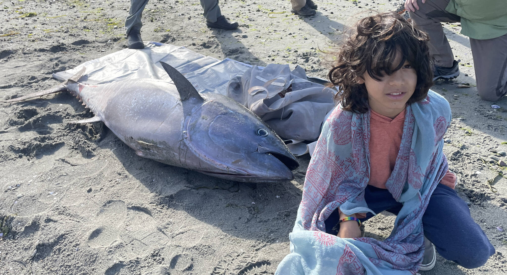 Pacific bluefin tuna found washed up on Orcas Island