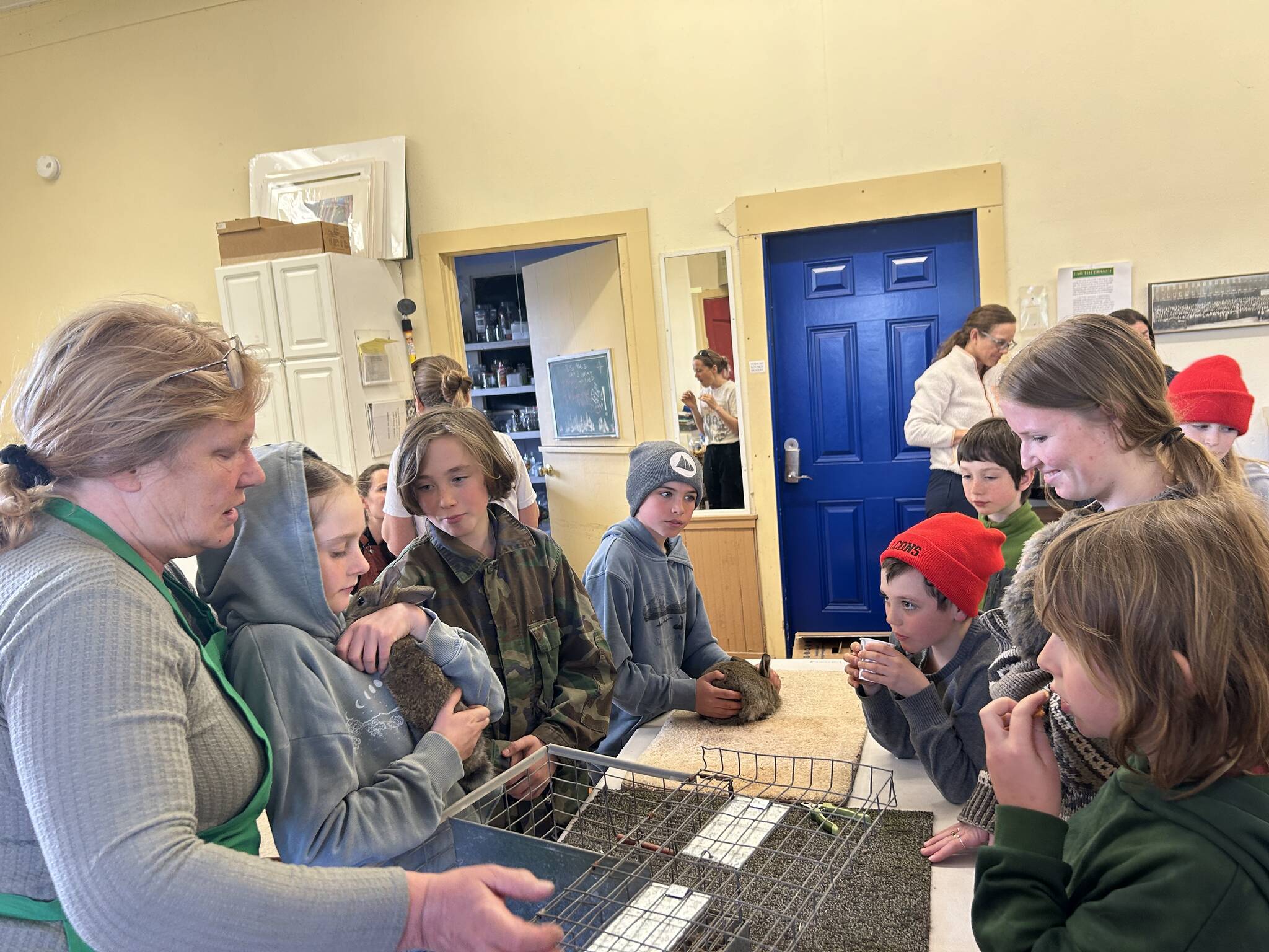 Orcas kids learning about bunny handling | Islands' Sounder