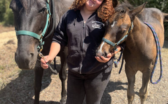 Colleen Smith Summers photo.
Poppy with Lucky (left) and Star (right).