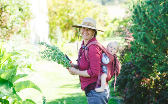 Satya Curcio photo. 
Sunnyfield Farm on Lopez Island.