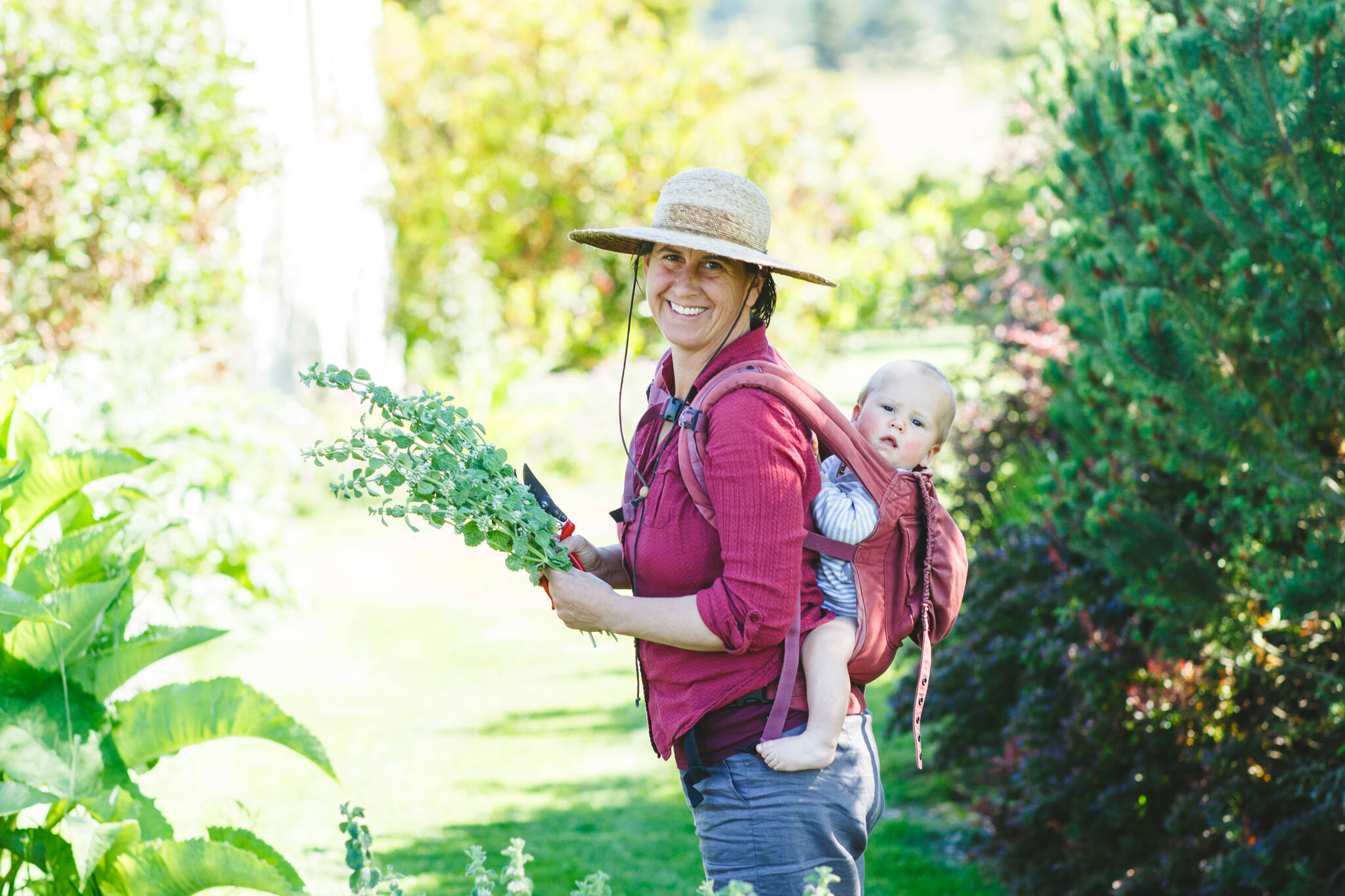 Satya Curcio photo. 
Sunnyfield Farm on Lopez Island.