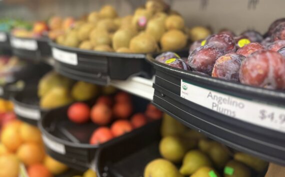 Colleen Smith Summers photo.
Produce at the Orcas Food Co-op.