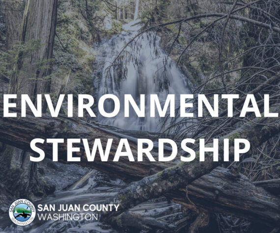 Environmental Stewardship