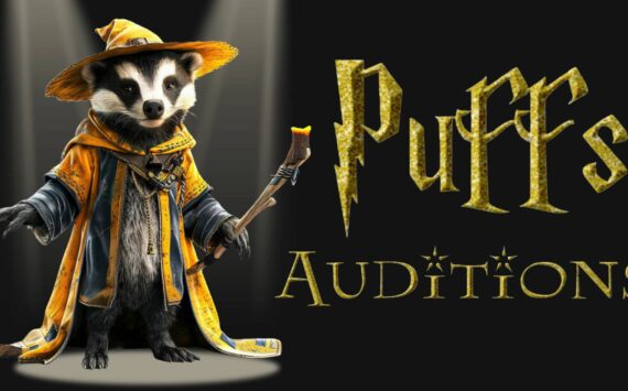 Puffs audition